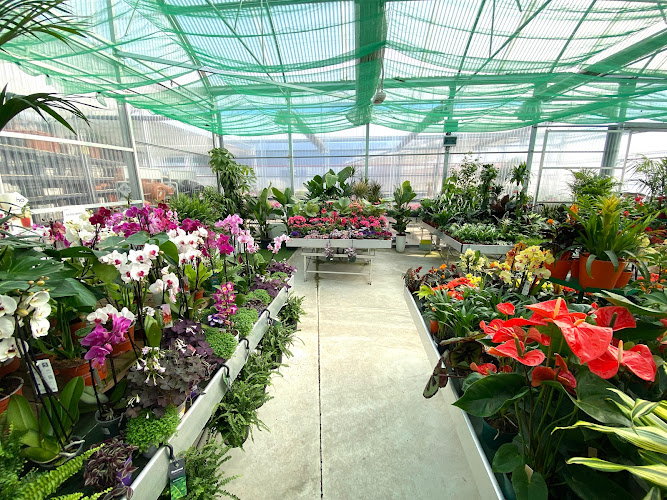 Negocio Aduna Garden