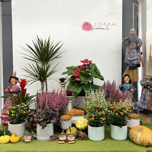 Negocio Alisma Floristas