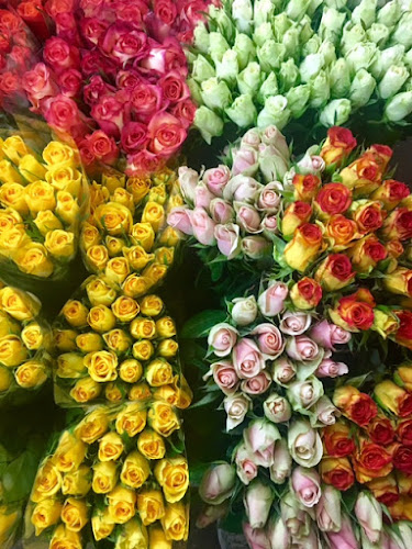 Negocio Alohaflor, S.l.