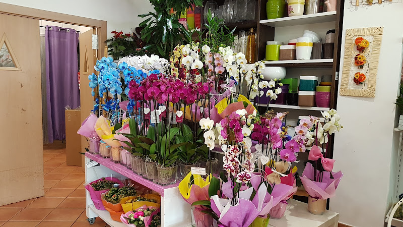 Negocio Bambu Floristas