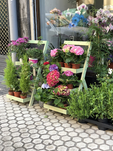 Negocio Basalore Arte Floral