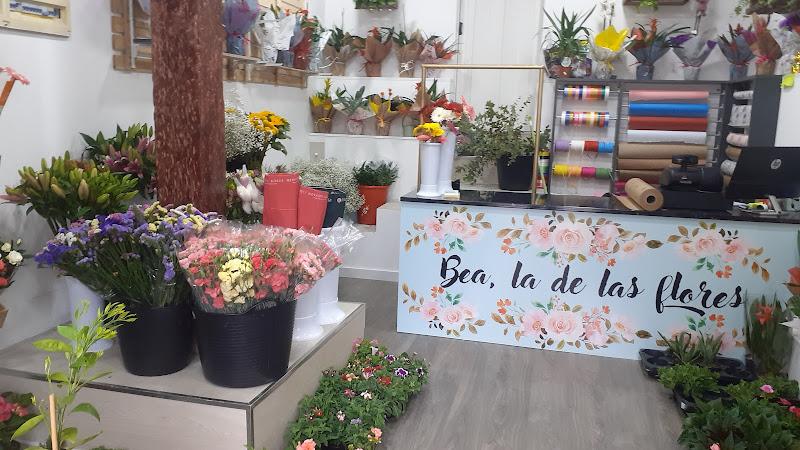 Negocio Bea, La De Las Flores