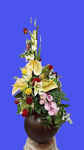 Negocio Carmita Floristeria