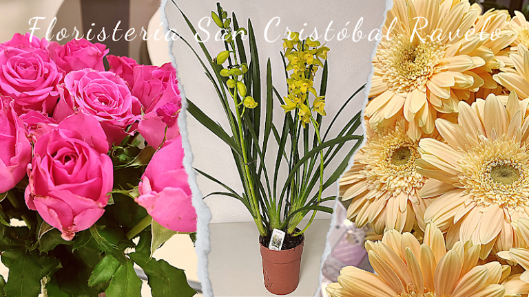 Carnicería San Cristóbal Ravelo