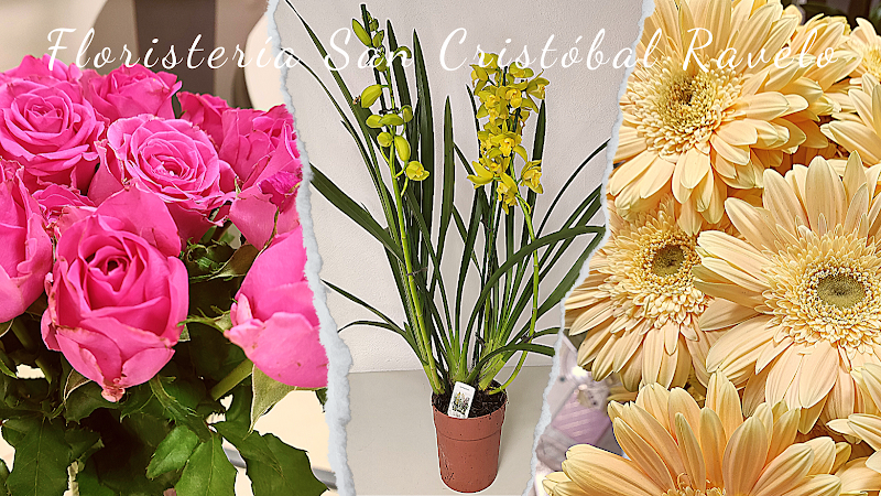 Negocio Carnicería San Cristóbal Ravelo