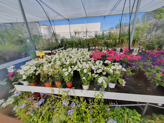 Negocio Centro De Jardinería Gorbeia