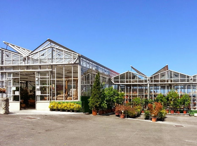 Negocio Centro De Jardinería Ostende