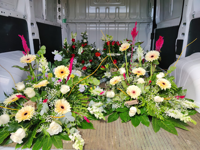 Chelo Arte Floral, Floristería En Lugo