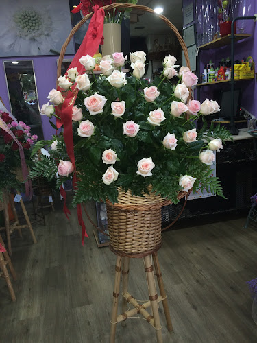 Cyca Floristería