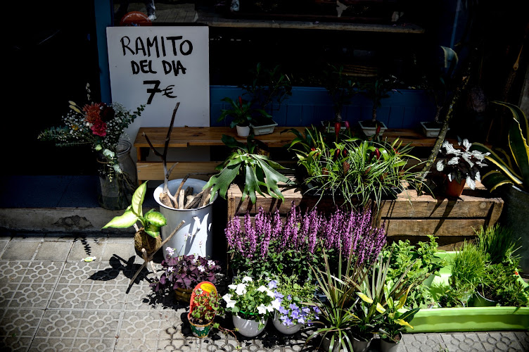 Negocio Delbosque | Flores, Plantas, Talleres Y Tesoros