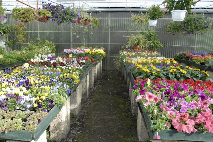Negocio El Draguito Garden Center