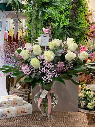 El Jardín De Sabugo