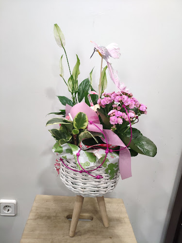 Negocio Feliñarán Floristas