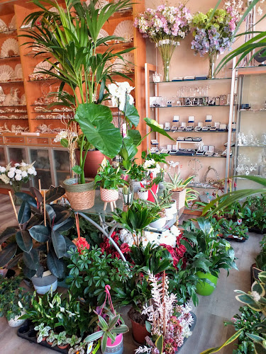 Flores Bambú