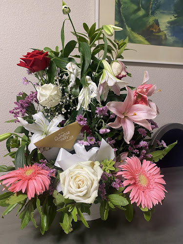 Flores Kentia | Floristería En Zaragoza