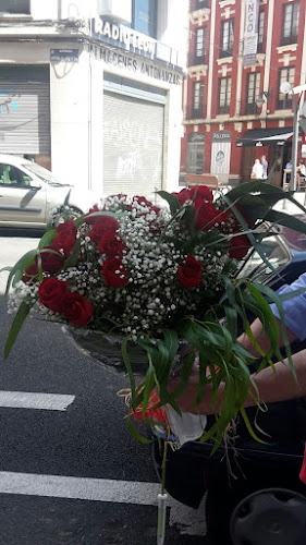 Negocio Flores Luis Alsan