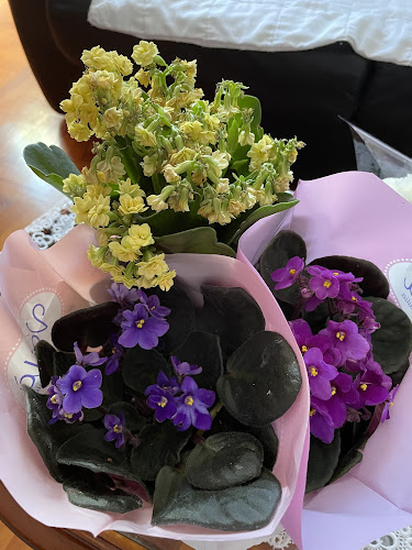 Negocio Flores May