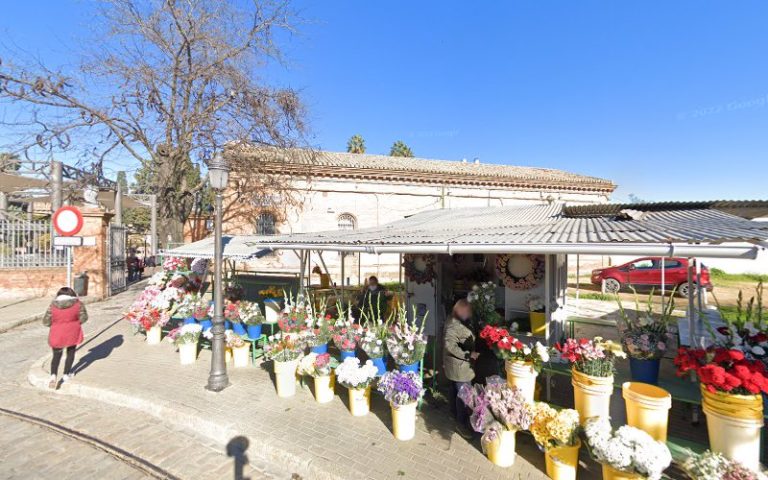 Flores Tenorio
