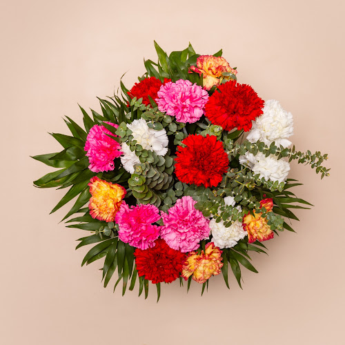 Flores Y Plantas Gloria
