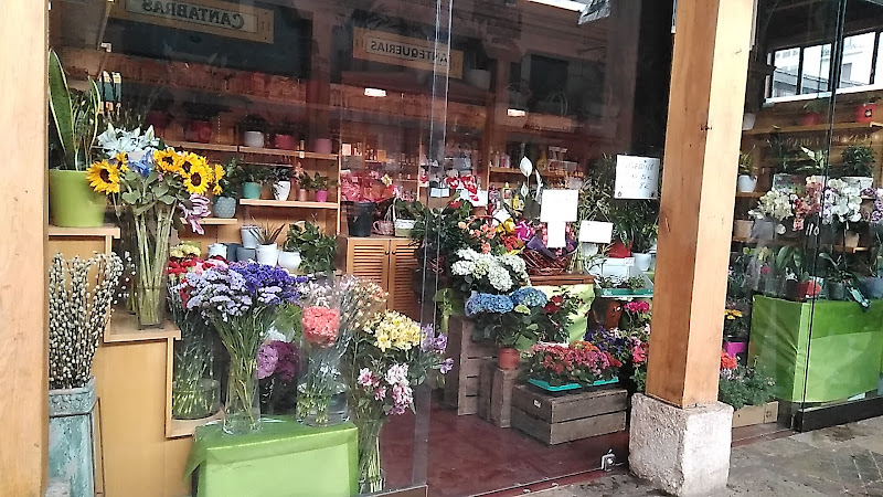 Negocio Flores Y Plantas José Pérez