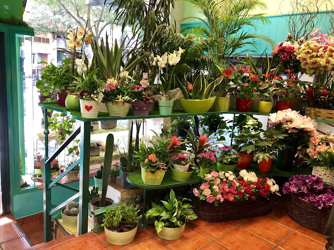 Floristería