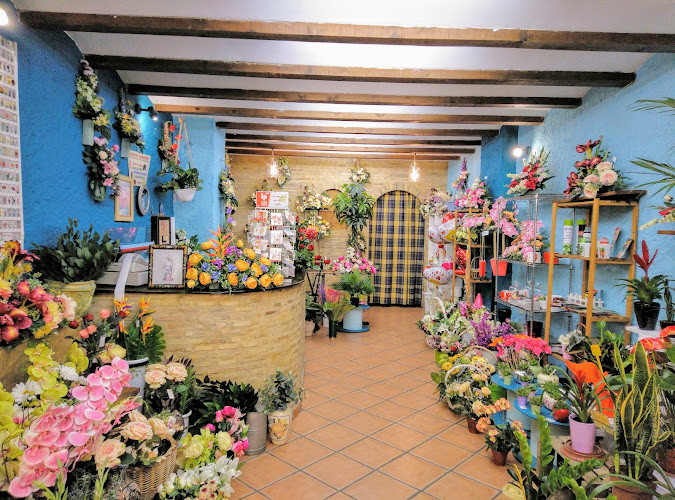 Negocio Floristería Adrián