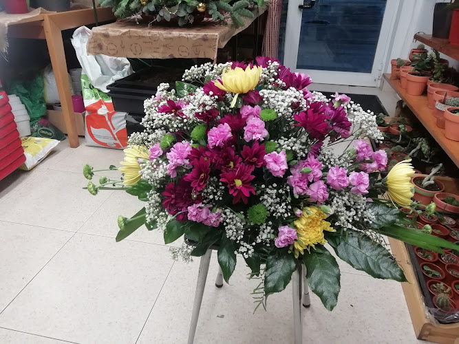 Floristería Alhelí