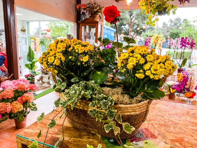 Negocio Floristería Altorreal