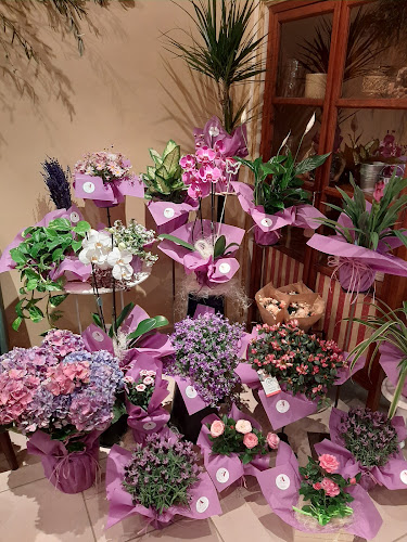 Floristeria Amaranto Flores Para Ti - Murchante