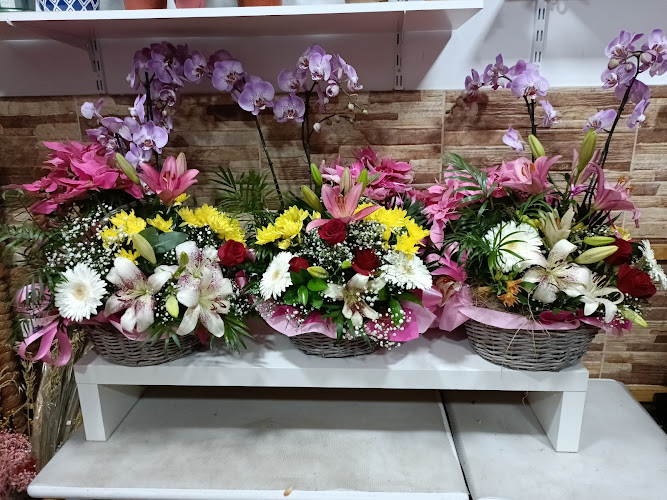 Negocio Floristería Arteaga