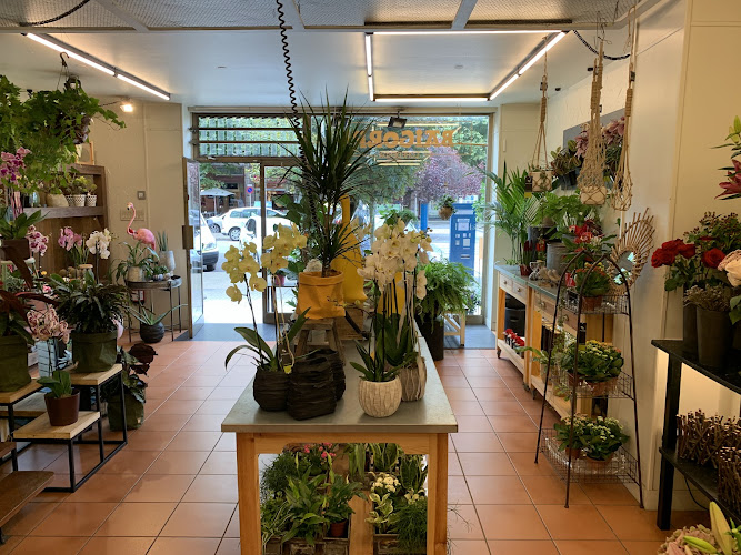 Negocio Floristeria Baigorri