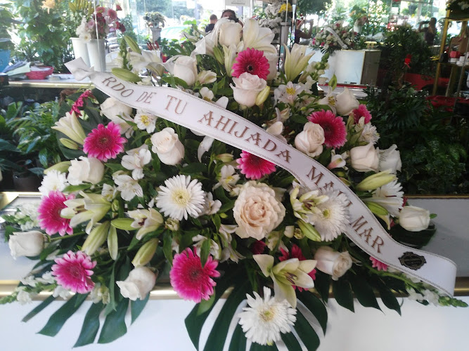 Negocio Floristería Barber