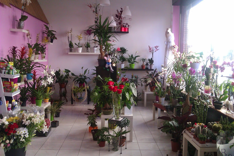 Negocio Floristería Belladona Diseño Floral