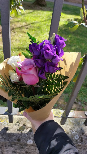 Negocio Floristería Bubur