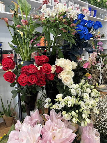 Negocio Floristeria Camila Primaveral