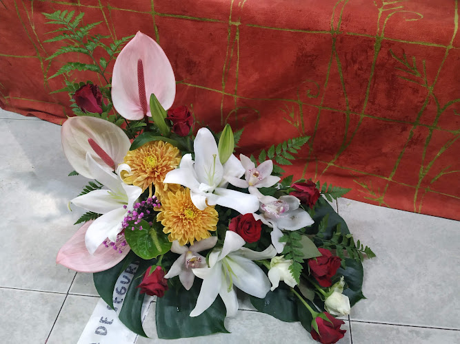 Negocio Floristería Carmín