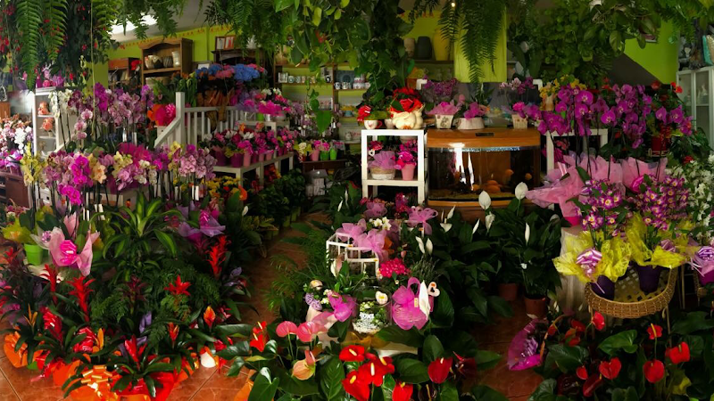 Negocio Floristería Cruz Del Teide