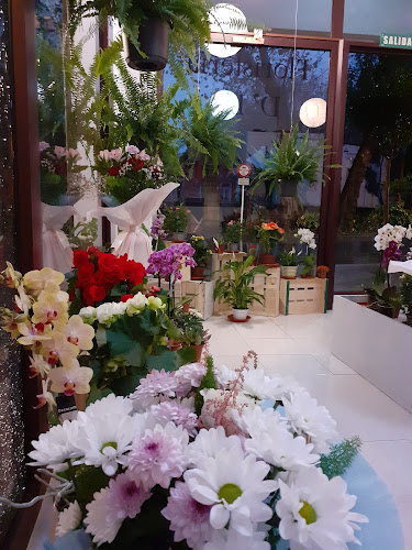 Floristeria D' Lis