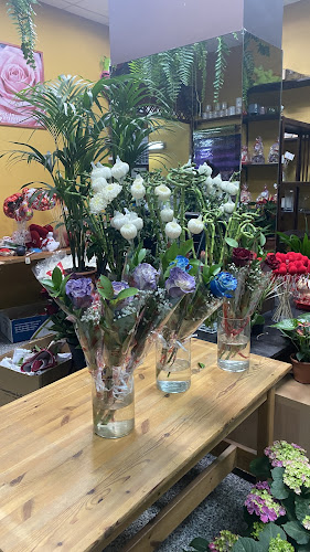 Negocio Floristería Dalmaflor