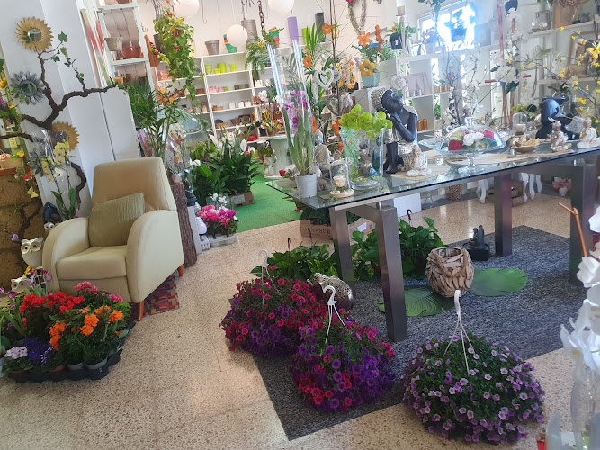 Negocio Floristería-Decoración Mi Sueño
