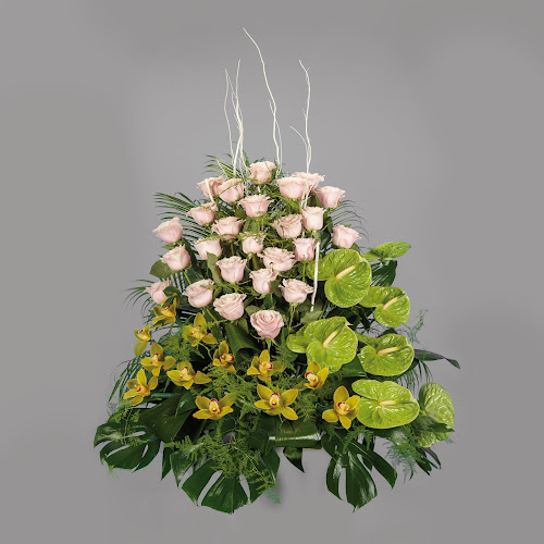 Negocio Floristería Del Carmen