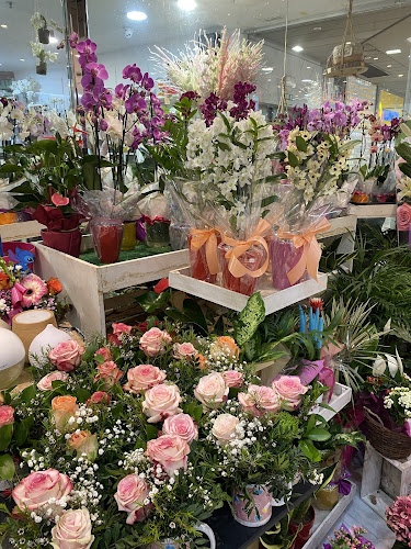 Negocio Floristería Edelweiss
