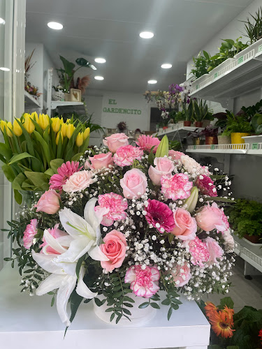 Floristería El Gardencito