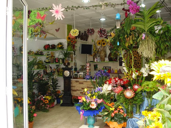 Negocio Floristería El Girasol