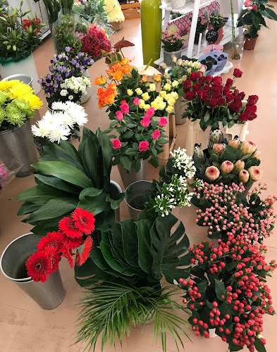 Negocio Floristería El Jardín De Paula - Floristeria En La Laguna