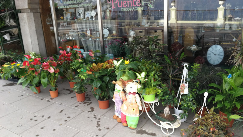 Negocio Floristeria El Puente