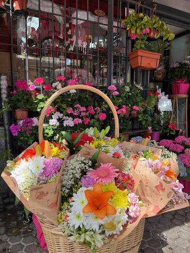 Floristería Faniflor