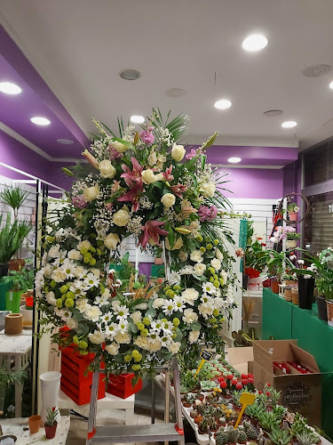 Negocio Floristeria Flores Y Plantas Mariflor