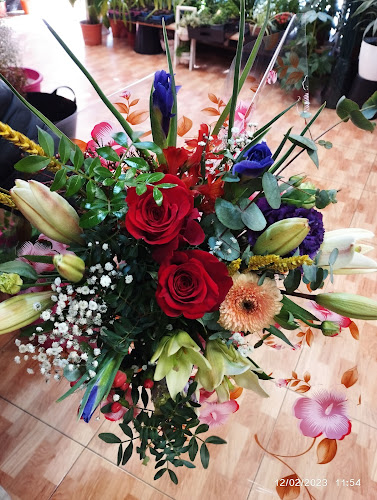 Floristeria Flors Per Tu