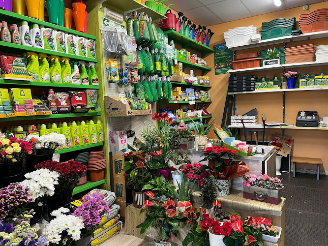 Negocio Floristeria Gama